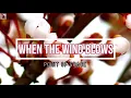 When The Wind Blows || Point Of Grace | Minus One | Instrumental | Accompaniment | Karaoke