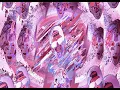 Lagu ROSÉ \u0026 Bruno Mars - APT. (Hardstyle Mashup Remix)