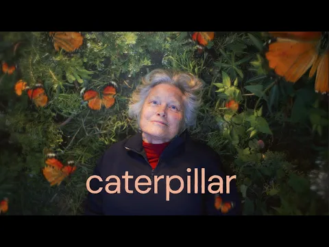 Caterpillar - Official Trailer