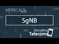 SgNB - Decoding Telecoms