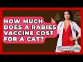 How Much Does A Rabies Vaccine Cost For A Cat - Ask A Pet Vet