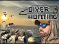 Download Lagu They did it RIGHT | NC Diver Hunting | Blue Bill Limits