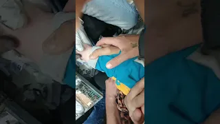 دق الصليب في دير مارجرجس الروماني بالرزيقات 