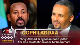 OMN Qophii Addaa Hin Gaabbu Marii Jawaar Mohaammad Fi Hawaasa Neezarlaand Muddee 29 2028 