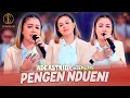 Download Lagu PENGEN NDUENI - ADE ASTRID X GERENGSENG TEAM (OFFICIAL MUSIC VIDEO)