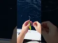 Download Lagu How I rig a jig! #fishing #fish #boat #jigging