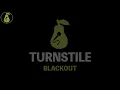Turnstile - BLACKOUT (Karaoke)