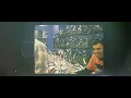 Intocable - Jamás te Soltaré (Video Oficial)