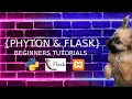 PHYTON AND FLASK BEGINNERS DATA FROM MYSQL DATABASE