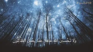 آية مفزعة   وقد مكروا مكرهم وعند الله مكرهم للقارئ إسلام صبحي دندنها