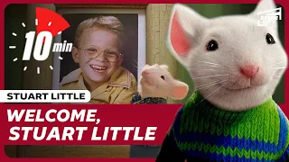 Download The Little Family Just Got Bigger | Stuart Little: First 10 Minutes MP3