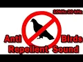 Download Lagu Anti Birds Repellent Sound - 10kHz -20kHz #chase the bird away #avoid bird #stop bird