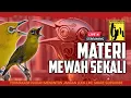 Download Lagu 🔴  LIVE masteran pleci mewah