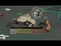 Loot From 2000 Basilisk Knights on task OSRS