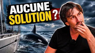 Que faire quand une orque attaque votre bateau ?