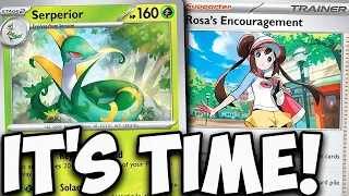 How Have I Never Played This Serperior Deck Before