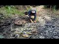 Download Lagu Petualangan Mencari Ikan Di Sungai Kering, Ikan Melimpah Pada Kekeringan.