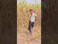 Download Lagu Katro bajaro jungle me padri dhoop | Kaif singer mewati | jaid meel dance #mewati #dance #trends