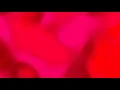 4 Hour Red Aesthetic Valentine s Day Mood