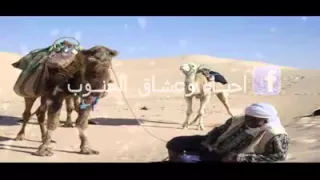  ساعات نڨلڨ و تضياڨ بيا    ولا أروع    دندنها