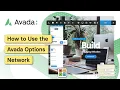 How to Use the Avada Options Network