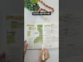Color A MAP With Me