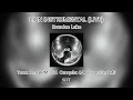 🎧 LION INSTRUMENTAL (LIVE) - Brandon Lake | Multitrack Completo