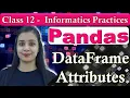 Pandas DataFrame - Attributes CBSE Class 12