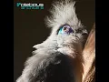 Madagascar (Ferry Corsten Remix (Remastered 2009)) (feat. Ferry Corsten) - Art Of Trance