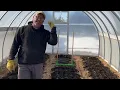First Market Farm beds of 2025