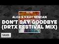 ALOK & Ilkay Sencan - Don't Say Goodbye (DRTX Festival Mix)