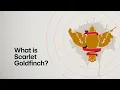 The difference between Scarlet Goldfinch SocGholish Red Canary Threat Intelligence
