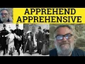 Apprehend Meaning - Apprehensive Examples