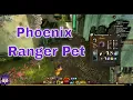 NA Guildwars 2 End of Dragons - Get Your Phoenix Ranger Pet