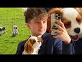 I ADOPT A CAVALIER KING CHARLES My first day with Pif