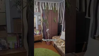 Частушки  Частушки