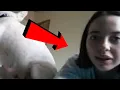 denise frazier dog denise frazier denise frazier dog