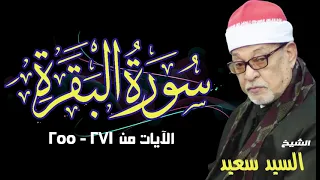 الشيخ السيد سعيد وما تيسر من سورة البقره  الشيخ السيد سعيد وما تيسر من سورة البقره