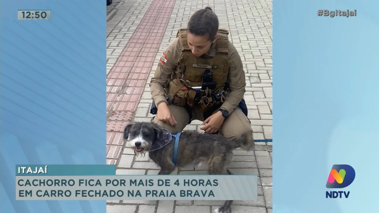 Cachorro fica por mais de 4 horas em carro fechado na Praia Brava em Itajaí