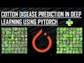 Deep Learning Project Cotton Disease Prediction Using Pytorch l Web Apps in Flask KNOWLEDGE DOCTOR