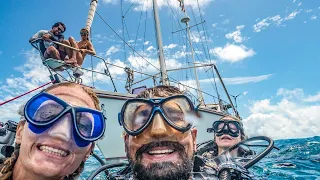 Ocean Conservation, Turtles and SHIP WRECKS! Sailing Vessel Delos Ep.185