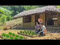 Download Lagu CEO Huyen and Tieu Thu cultivate a garden of happiness together