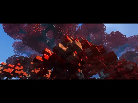 Minecraft server video for RandyMC