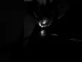 Download Lagu #techno #dj