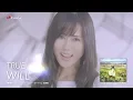 Video di 【TRUE】「WILL」MV Short Ver.（『劇場版 ヴァイオレット・エヴァーガーデン』主題歌）
