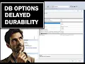 DB Options - Delayed Durability