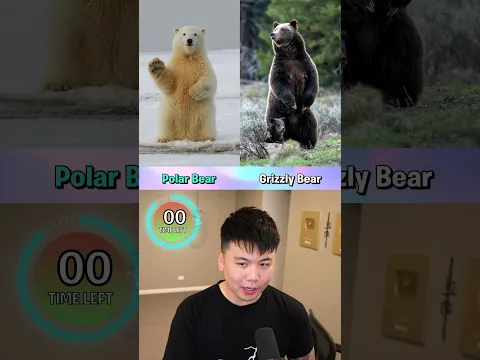 Which Animal  BITE Is SCARIER?