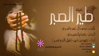 طير الصبر   كلمات  محمد ال عمره المري   أداء  شبل الدواسر دندنها