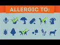 Allergy Relief Animated