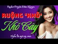 Download Lagu 15 Phút Mê Mẫn Tột Cùng: TRÂU NON CÀY NHẦM RUỘNG HOANG | Kể Chuyện Đêm Khuya